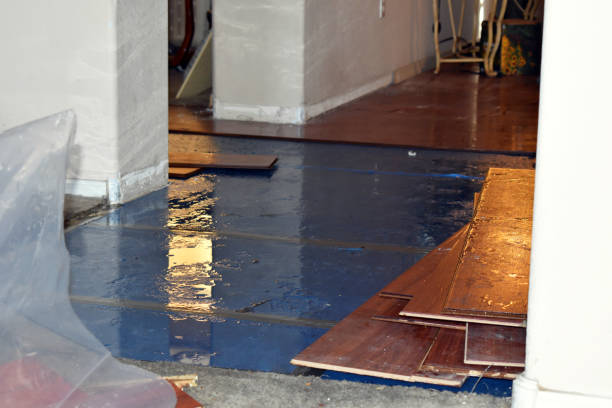 Professional Flood Cleanup technician working in Bay Port, MI
